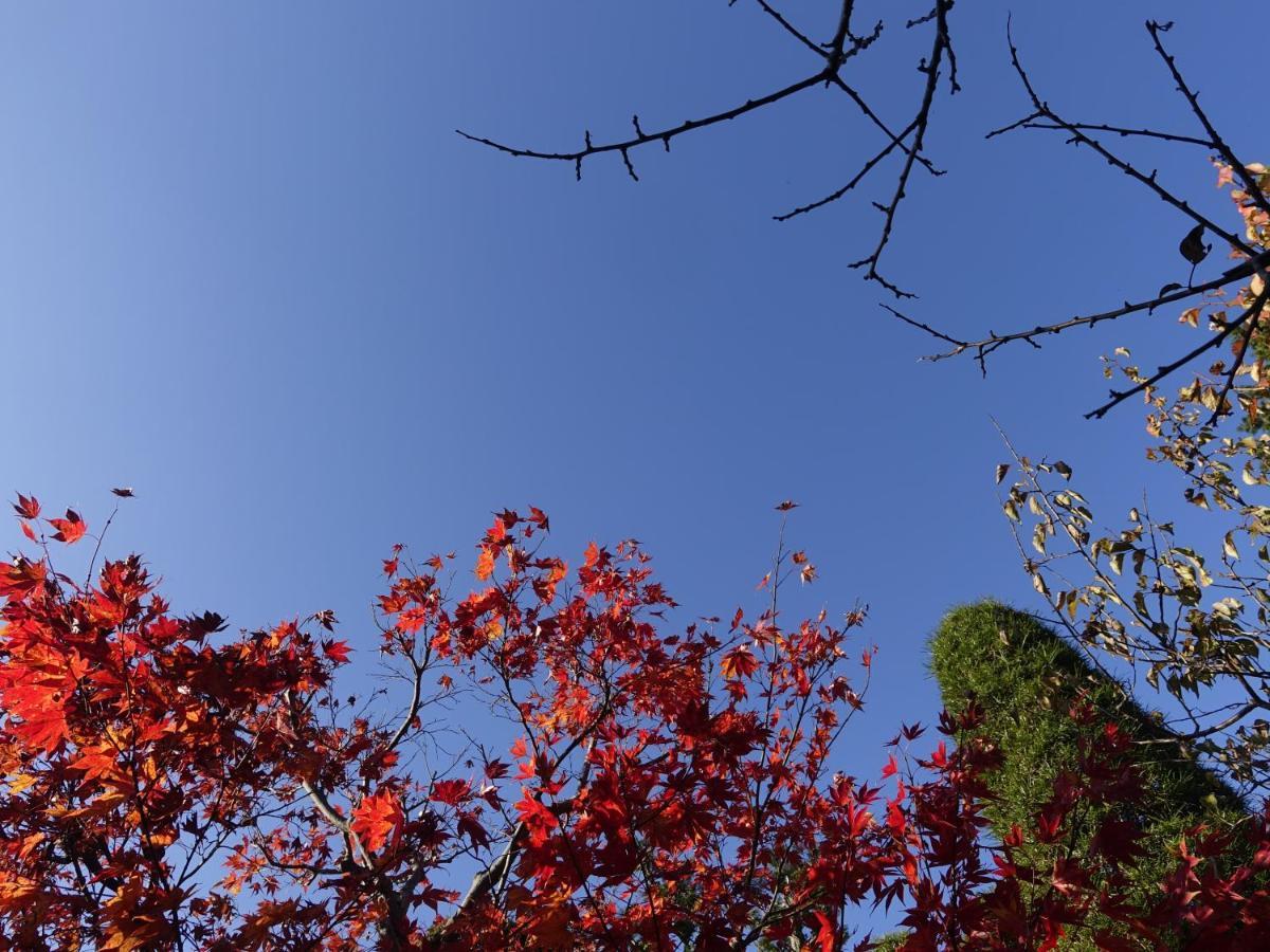Oimatsuen Apartment